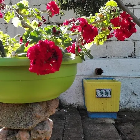 Casa vacanze Zagara Di Sicilia *