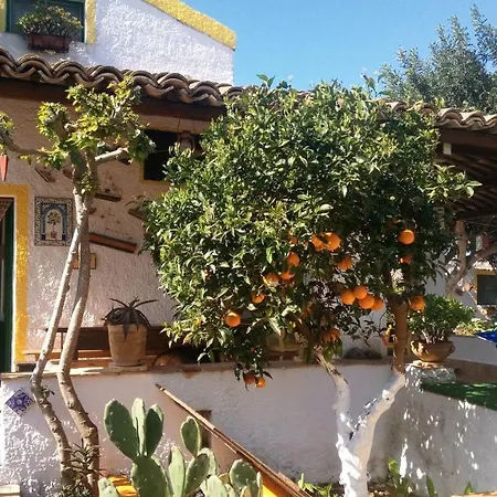 Zagara Di Sicilia * Marsala