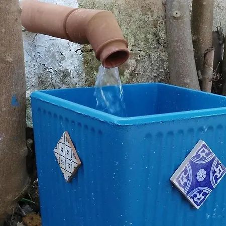 Semesterbostad Zagara Di Sicilia *